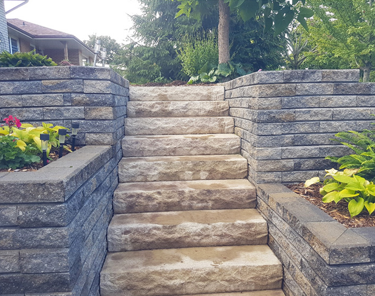 steps and coping in garden