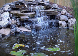 natural stone pond