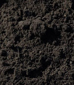 dark topsoil