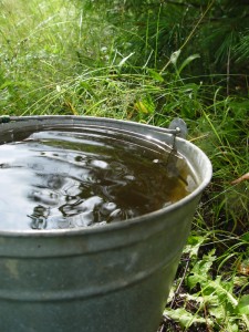 rain water in bucket