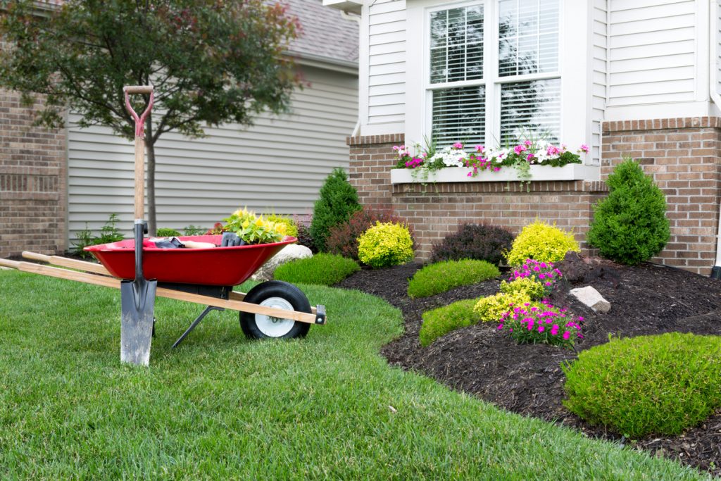 Take care of your landscaping or gardening