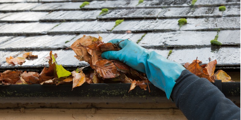 Important fall landscape chores to get your landscape ready for winter