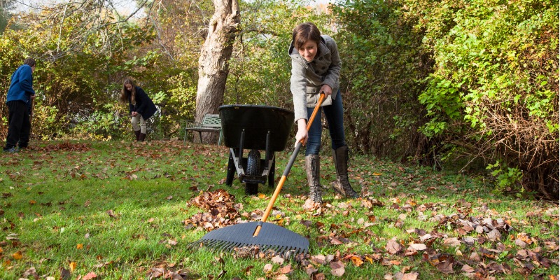 Important fall landscape chores to get your landscape ready for winter