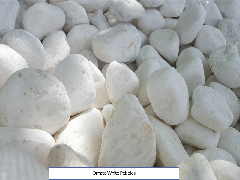 Ornate White Pebbles