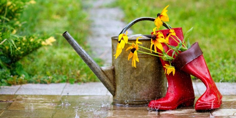 rain boots and water can outside during a rainfall