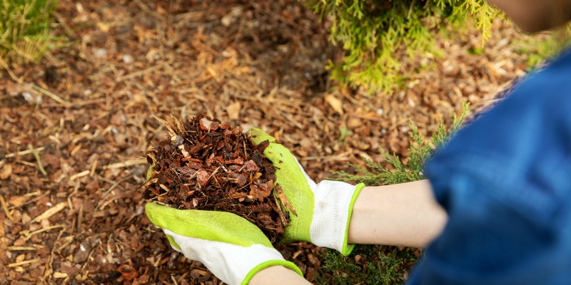 Mulch 101: What You Need to Know | Grand River Natural Stone