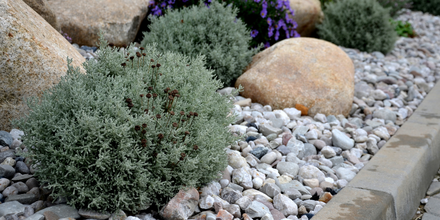Garden bed with small stones as ground cover - 10 Mulch FAQs on Types, Benefits, and Effective Usage in Your Garden
