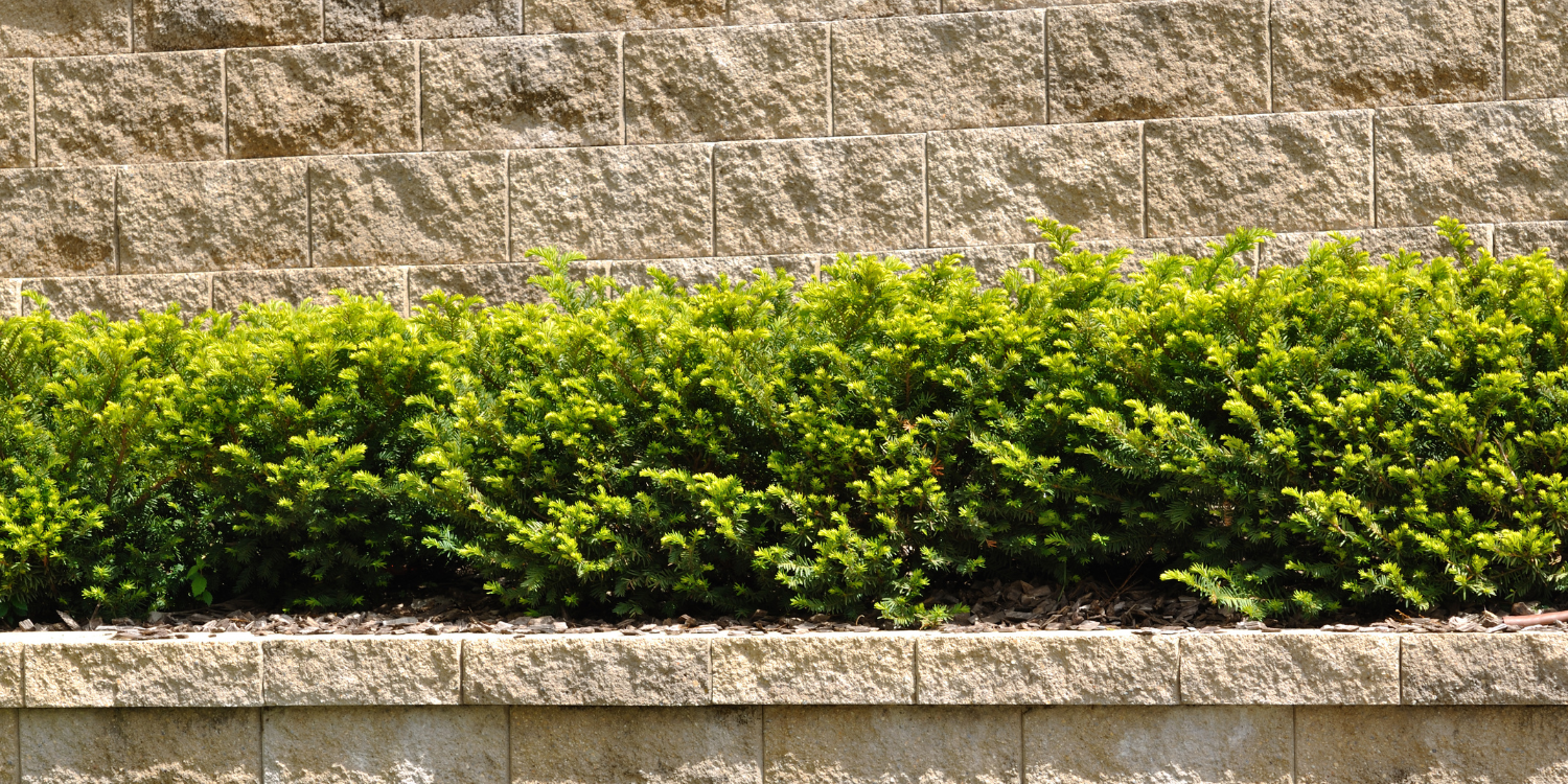 Stone Retaining Wall - 7 Retaining Wall Styles to Consider for Your Outdoor Spaces